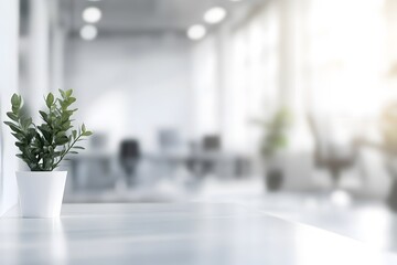 Minimalist Green Plant on a White Desk with a Bright, Sunlit, Blurred Modern Office Background.