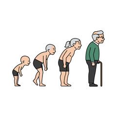 aging process illustrating life stages showing growth development age from baby to old age with cane