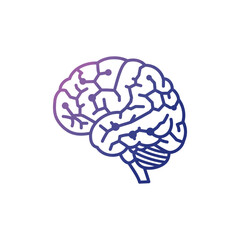 brain illustration connecting neurons representing ai neural network artificial intelligence deep learning research