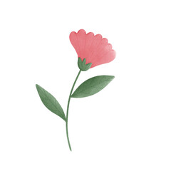 Pink pastel flower illustration
