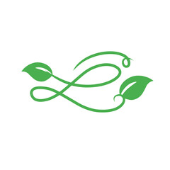 Obraz premium swirl fresh leaf ornament