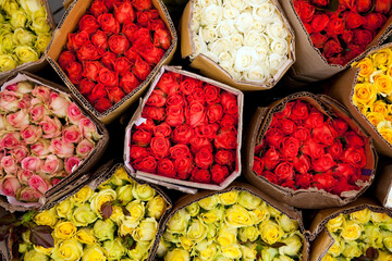Colorful floral pattern of rose bouquets at a wholesale flower market in Dalat, Vietnam