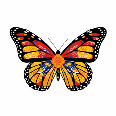 Colorful butterfly illustration with intricate patterns and vibrant colors, featuring orange, red, blue, and black on a white background.
