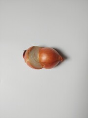 Fresh bulbs of onion with cut in half isolated on white background. Clipping path