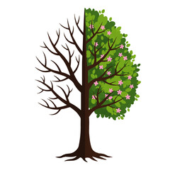 Naklejka premium A tree split between the winter and spring seasons.