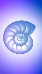 Obraz premium Abstract spiral seashell graphic