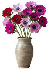 Isolated Floral Bouquet Of Anemone Flowers In Vase On Transparent Background