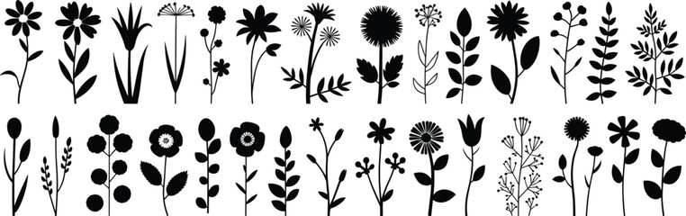 Black Silhouette Vector Set of Wild Flowers and Leaves for Botanical Nature Art and Decorative Floral Design on White Background