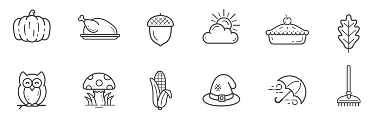 Leaves and Autumn Icons. png