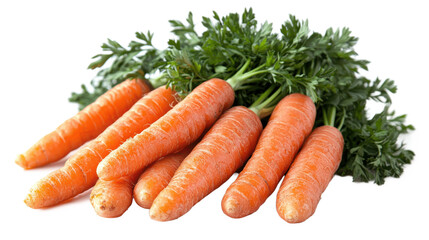 Carrots with vibrant green tops arranged beautifully for fresh and healthy eating concepts, PNG, isolated on transparent background.