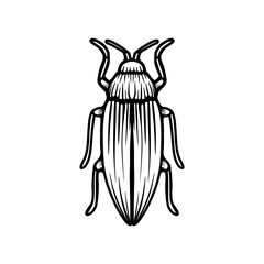 Black and white beetle line art vector illustration. illustration of beetle with intricate line art design.