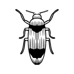 Black and white beetle line art vector illustration. illustration of beetle with intricate line art design.