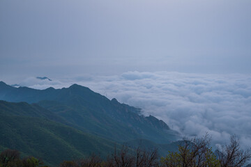 Fototapeta premium Overlooking sea of clouds on mountaintop of Beijing Mount Miaofeng