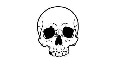 Fototapeta premium Human Skull Illustration – Dark Gothic Anatomy Symbol 