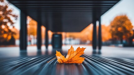 Autumnal elegance a solitary maple leaf resting on structured surface capturing seasonal beauty