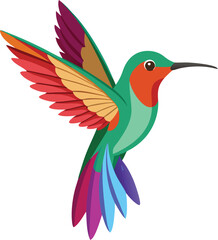 Obraz premium Hummingbird Small Wings Spread Design