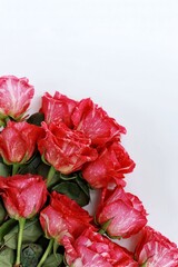 Roses on a white background, bouquet, flowers gift, free space