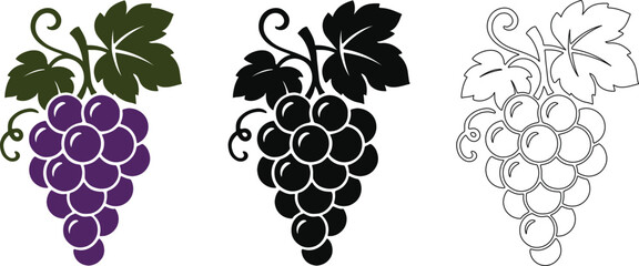 Grape Fruits Bunch Vector Set Color, Silhouette, and Line Art Illustration