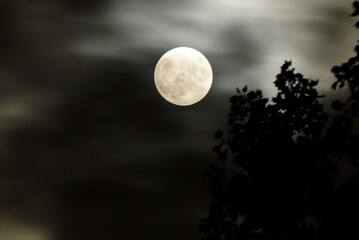 月夜