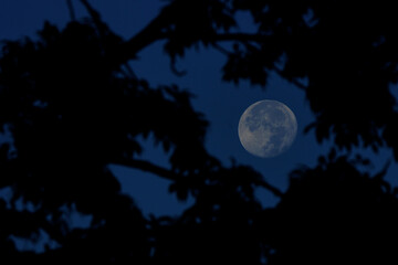 月夜