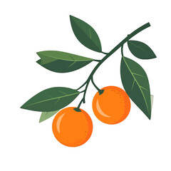 Pixelated Orange Citrus Fruits on Branch with Green Leaves Isolated on White Background Detailed Still Life Illustration for Graphic Design and Decoration