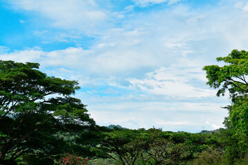 Obraz premium Paisaje con naturaleza verde, cielo azul.