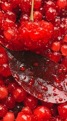 Vibrant Red Cherries and Leaf with Water Droplets Macro Photography