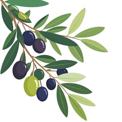 Artistic Olive Branch with Green Leaves and Ripe Olives Isolated on White Background for Decorative Organic Natural Themed Illustration