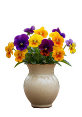 Isolated Image of Colorful Pansies in a Beige Pottery Vase on Black Background