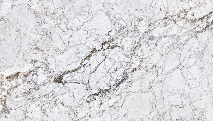 Obraz premium The image shows a detailed close-up of white marble with a network of gray and brown veins throughout the stone's surface.