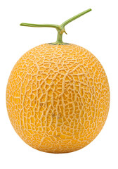 Isolated Muskmelon Fruit On Transparent Background Realistic Photo