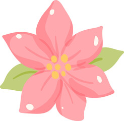 Pink Poinsettia Illustration, Christmas Flower Clipart