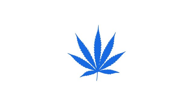 Marjuana Cannabis leaf color variation animation 4k alpha channel
