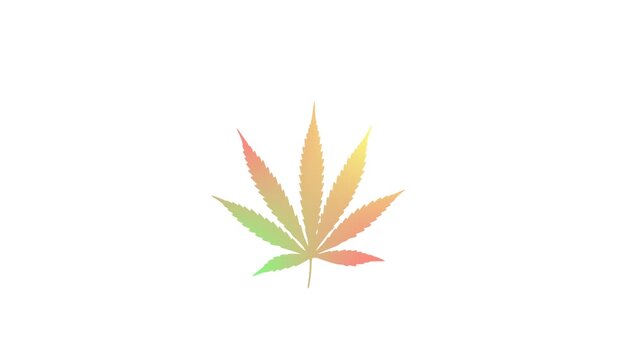 Marjuana Cannabis leaf jumping loop animation 4k alpha channel