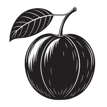 Black nance Silhouette Vector, High Quality Illustration on White Background