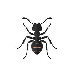 High Angle View of Black Ant with Red Stripes and Prominent Antennae Isolated on White Background Digital Art Illustration