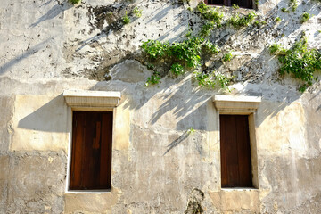 Vintage wooden window on holes in grunge concrete wall exterior decorated with green creeper  and ivy cover on the wall in Bangkok of Thailand
