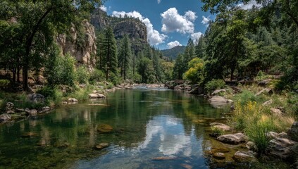 Serene river reflecting a mountain valley's sky. Lush forest borders a calm river, showcasing clear water and rocky banks