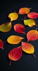 Obraz premium Autumn Leaves on Dark Background.