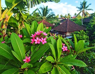 Tropical village view from a lush garden