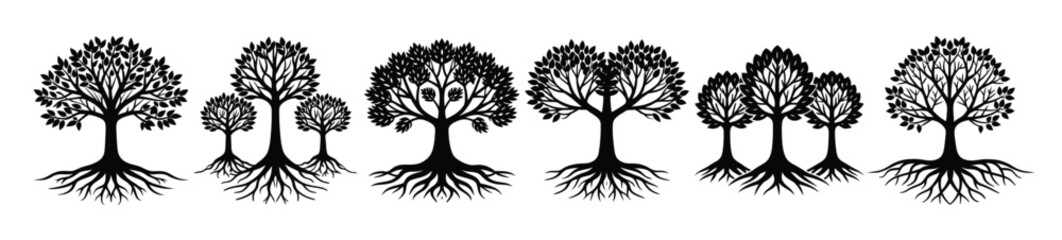 six silhouettes of majestic trees with roots