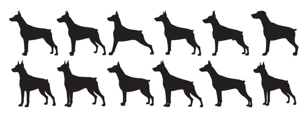 doberman dogs silhouette white background.