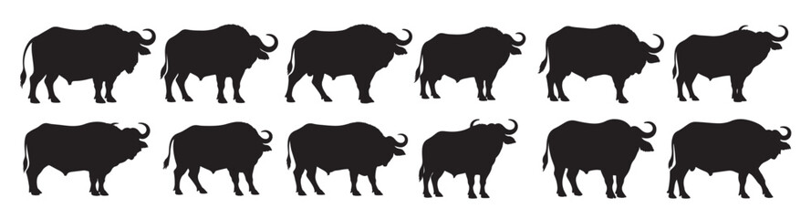  african buffalo silhouette white background