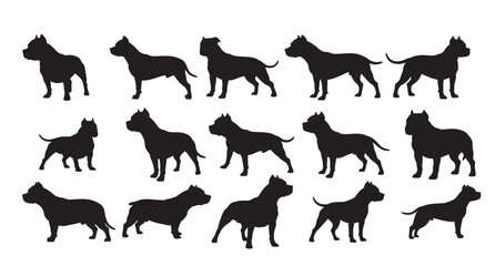 AMERICAN PI BULLDOGS SILHOUETTE WHITE BACKGROUND
