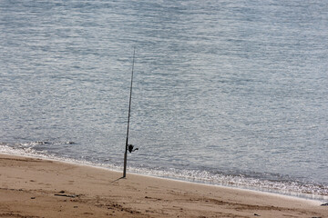Fishing rod stuck upright in the sand near the edge of the ocean at a beach © Tammy Walker