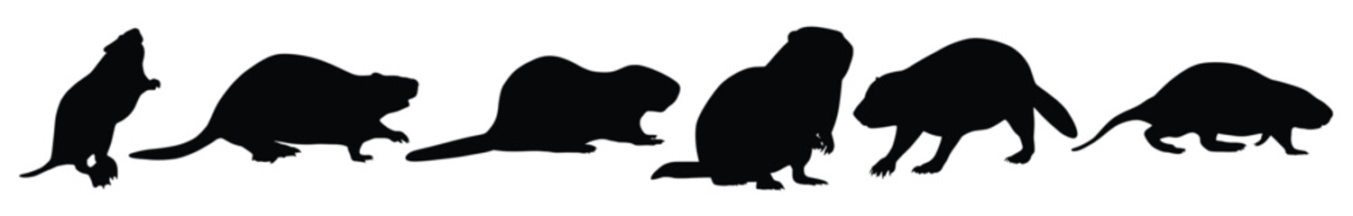 beaver silhouettes set