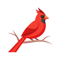 Red cardinal bird perched on a branch illustration
