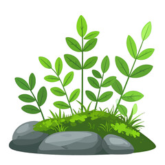 Illustration of Green Plants Growing on Moss Covered Rocks Isolated on White Background