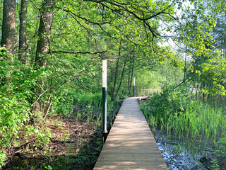 Walking paths in Solnechnaya Park in June. Moscow region, Balashikha city