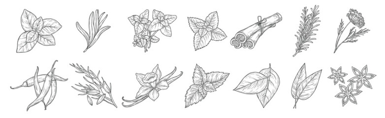 culinary spices and cooking seasoning herbs icons